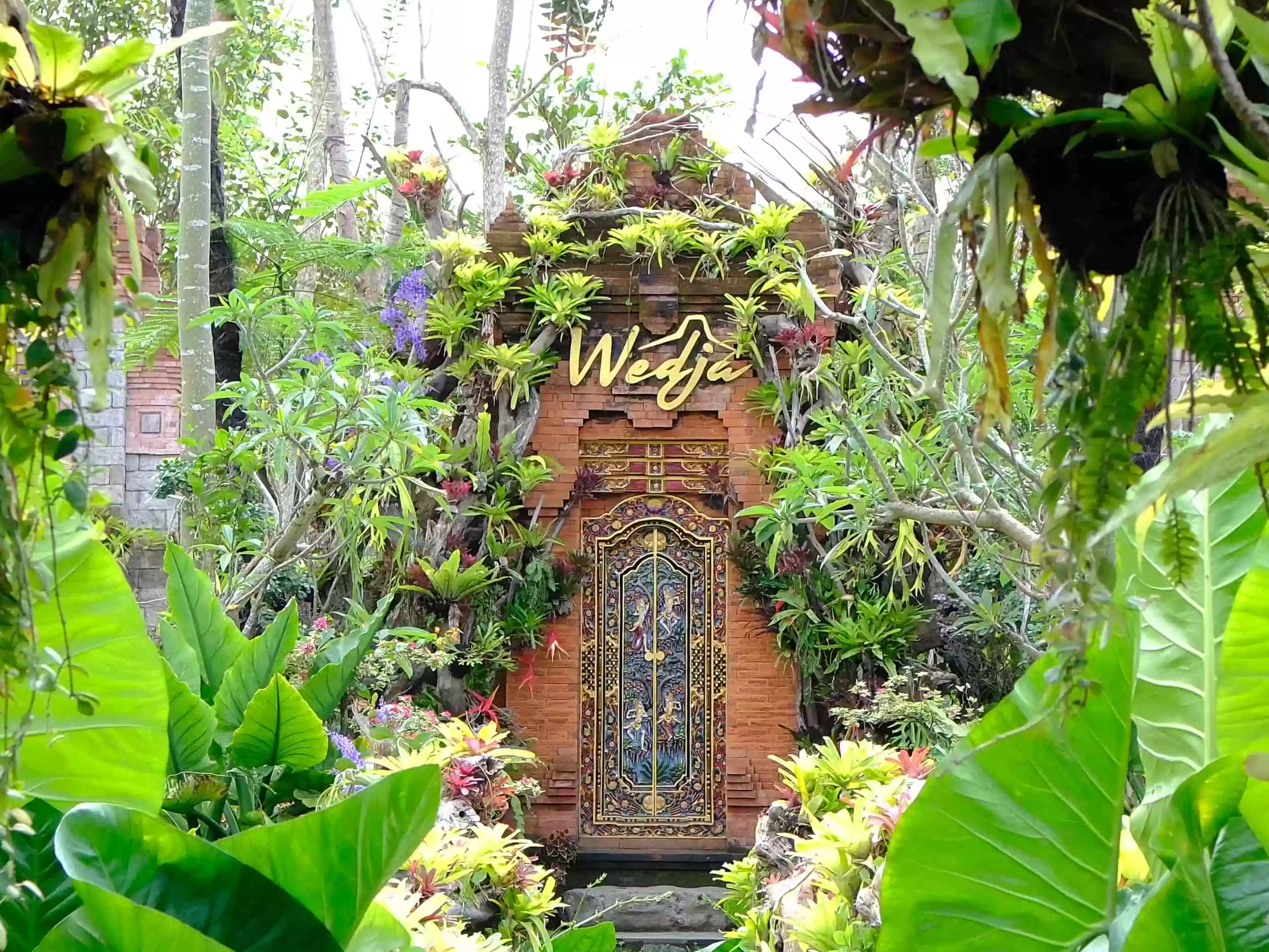 WEDJA UBUD 田園蓮花池景 髒鴨餐+冰茶